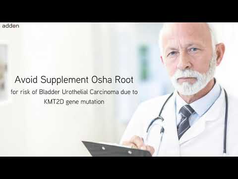 Which cancer would benefit from including Osha Root in their diet?